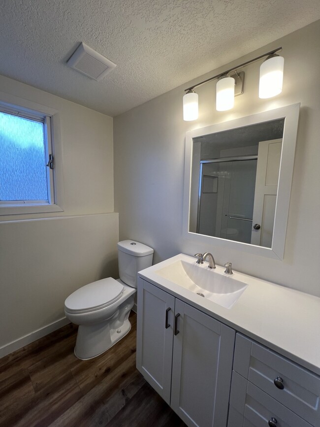 Lower level bathroom with glass shower - 4060 Cinnabar Dr