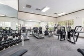 Located at 8816 Old Greensboro Rd in Tuscaloosa, Alabama, this fitness center offers a spacious, single-floor layout designed to support a full range of workout routines. The facility is outfitted with an extensive selection of Cybex International strength machines, including cable systems, seated press units, and various resistance stations, providing users with comprehensive muscle-group targeting options. The cardio section features multiple treadmills, elliptical trainers, and stationary bikes, all arranged to maximize floor space and usability. A dedicated free weights area includes a well-stocked dumbbell rack alongside benches for structured lifting sessions. Large, multi-pane windows line the walls throughout the space, flooding the interior with abundant natural light and offering views of the surrounding outdoor areas, including a glimpse of a pool. Full-length mirrors are strategically mounted along the walls, enhancing the sense of openness and allowing users to monitor their form. The floors are covered in durable, patterned carpet tiles, and the ceiling features recessed and panel lighting to ensure a bright, well-illuminated environment. Crown molding details along the upper walls add a refined architectural touch. A vending machine and additional amenity access are also visible, contributing to the overall convenience of the facility.