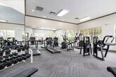 Located at 8816 Old Greensboro Rd in Tuscaloosa, Alabama, this fitness center offers a spacious, single-floor layout designed to support a full range of workout routines. The facility is outfitted with an extensive selection of Cybex International strength machines, including cable systems, seated press units, and various resistance stations, providing users with comprehensive muscle-group targeting options. The cardio section features multiple treadmills, elliptical trainers, and stationary bikes, all arranged to maximize floor space and usability. A dedicated free weights area includes a well-stocked dumbbell rack alongside benches for structured lifting sessions. Large, multi-pane windows line the walls throughout the space, flooding the interior with abundant natural light and offering views of the surrounding outdoor areas, including a glimpse of a pool. Full-length mirrors are strategically mounted along the walls, enhancing the sense of openness and allowing users to monitor their form. The floors are covered in durable, patterned carpet tiles, and the ceiling features recessed and panel lighting to ensure a bright, well-illuminated environment. Crown molding details along the upper walls add a refined architectural touch. A vending machine and additional amenity access are also visible, contributing to the overall convenience of the facility.