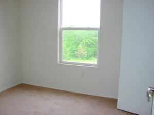 Building Photo - 3 Bedroom 2 Bath Apartment in Branson, MO
