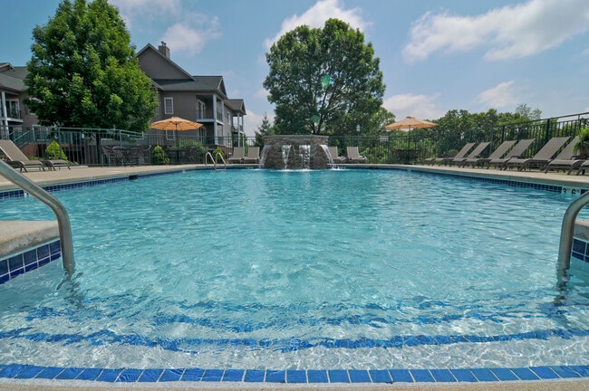 Pool - Province Hill