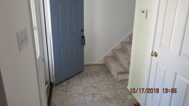 Building Photo - 113 Amelia Ct