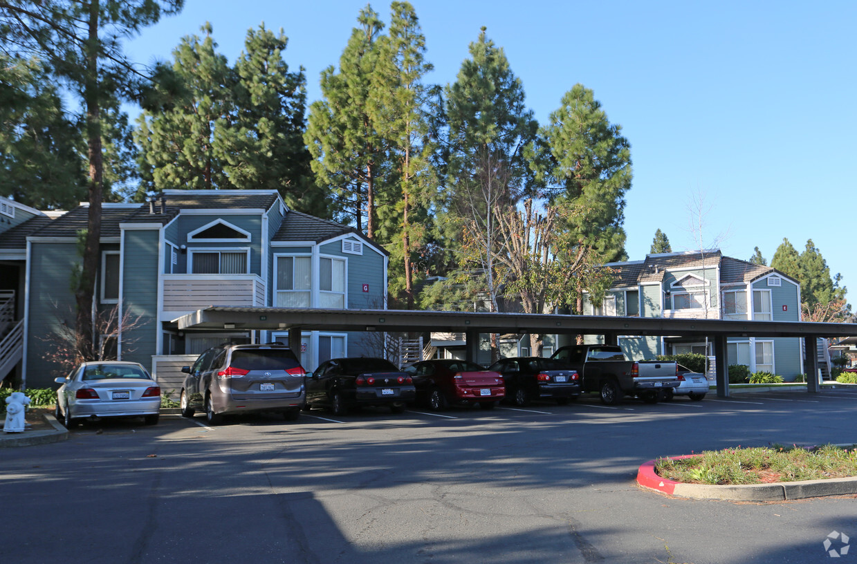 Primary Photo - Willow Glen Apartments