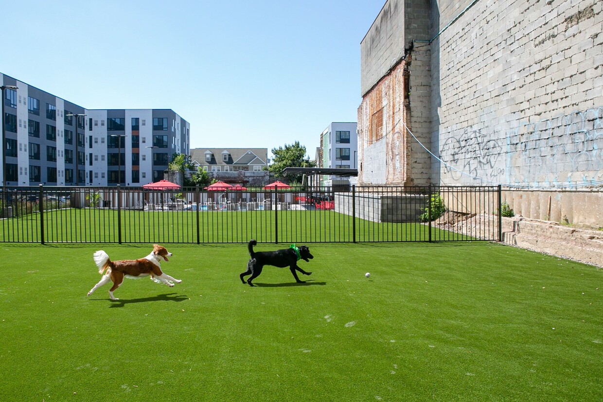 Área de juegos para las mascotas - The Hub at 31 Brewerytown