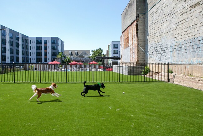 Building Photo - The Hub at 31 Brewerytown