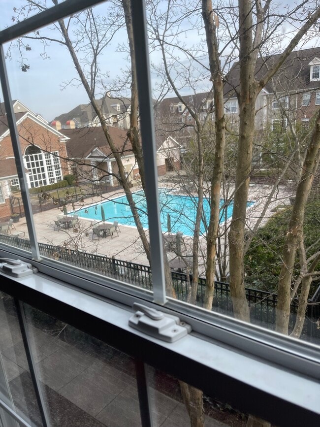 Pool View - 2369 Sycamore View Ln