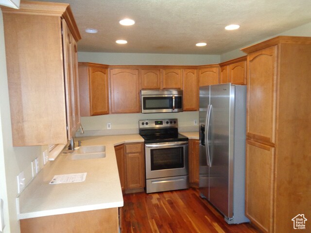 Building Photo - 3813 Sage Vista Ln