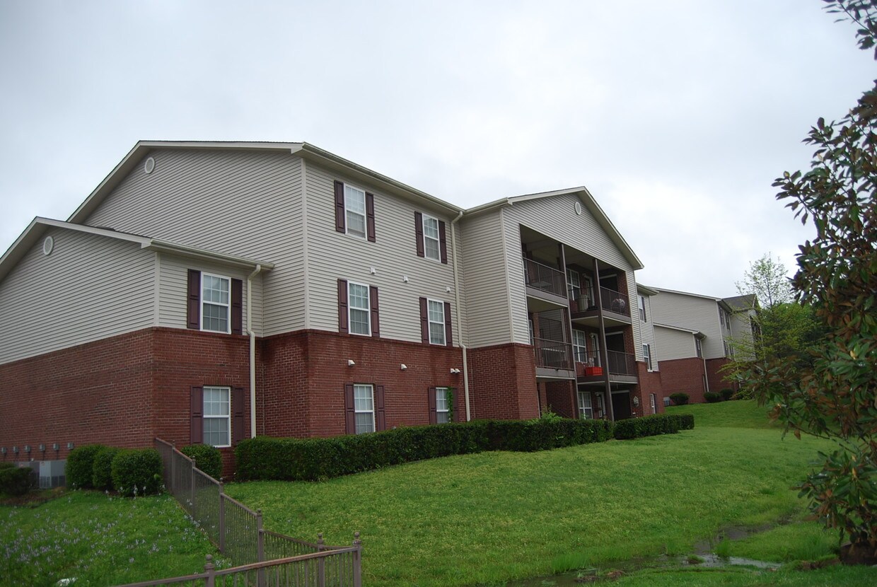 Meadow Oaks Apartments in Rainbow City, AL