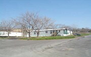 Apartments near Little Saigon Mall in Irving, TX | Apartments.com