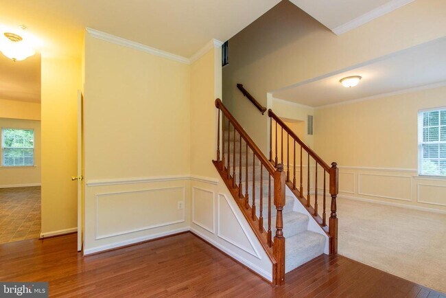 Foto del edificio - 8401 Hollow Tree Ln