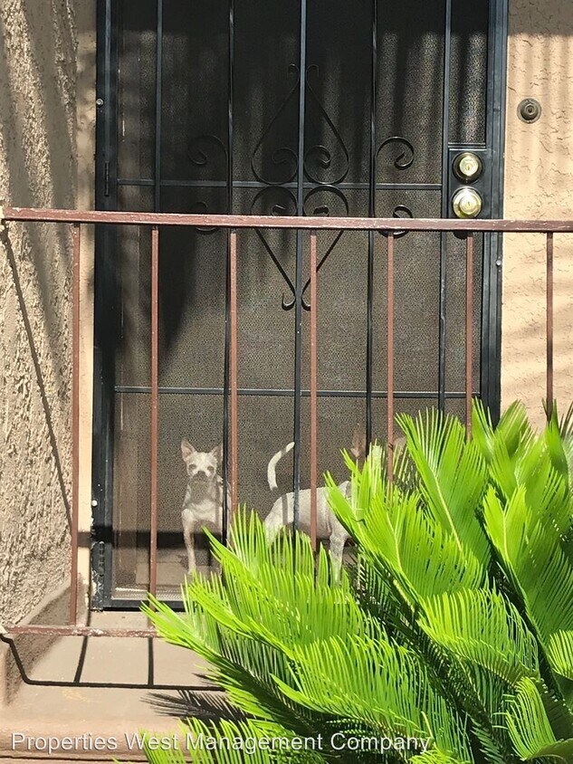 Foto del edificio - 611 S Cabrillo Ave