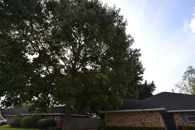 Building Photo - 40221 Bordeaux St
