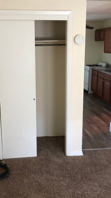 Living room closet - 3702 Main St