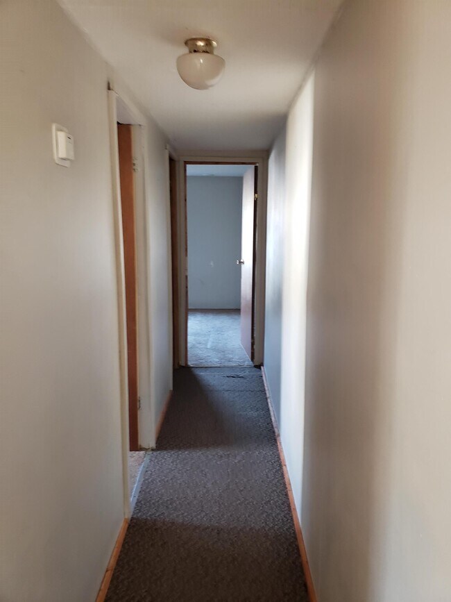 175 Iotla Valley Park Rd, Franklin, NC 28734 House Rental in Franklin