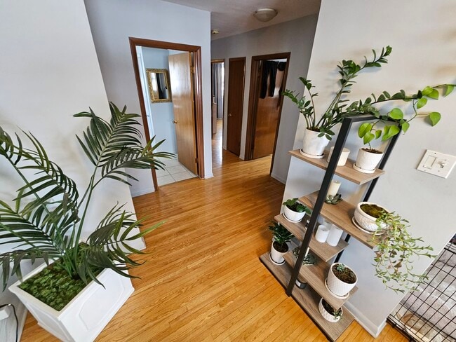 Building Photo - 113 Academy Rd