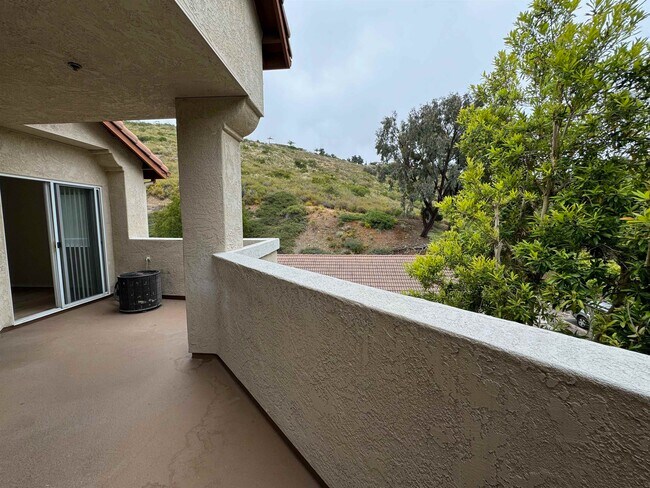 Building Photo - 11145 Affinity Ct