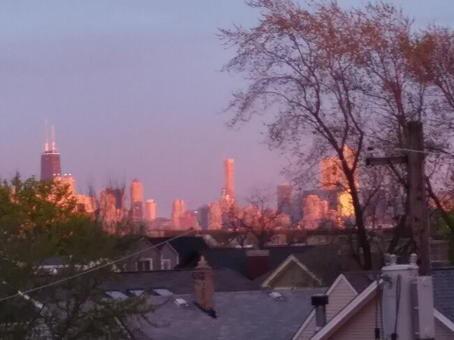 View from top deck - 1943 W Oakdale Ave