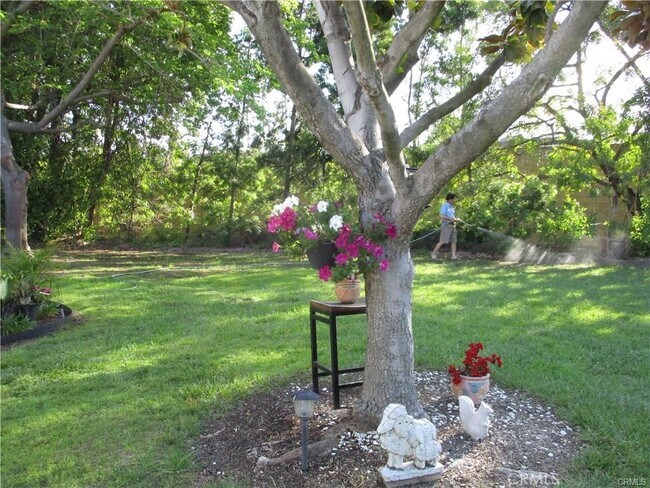 Foto del edificio - 348 Avenida Sevilla