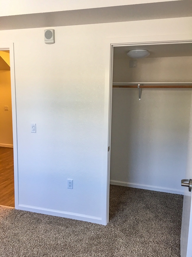 Large Walk-in Closet - Esposti Park Apartments
