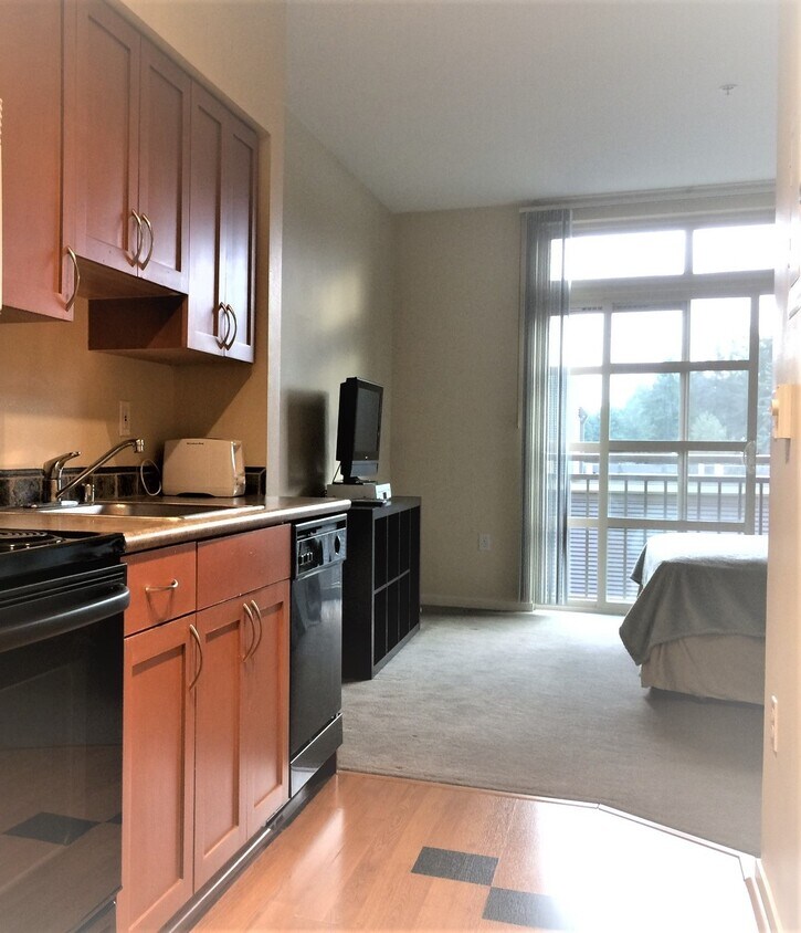 111 108th Ave NE Unit A507, Bellevue, WA 98004 Condo for Rent in