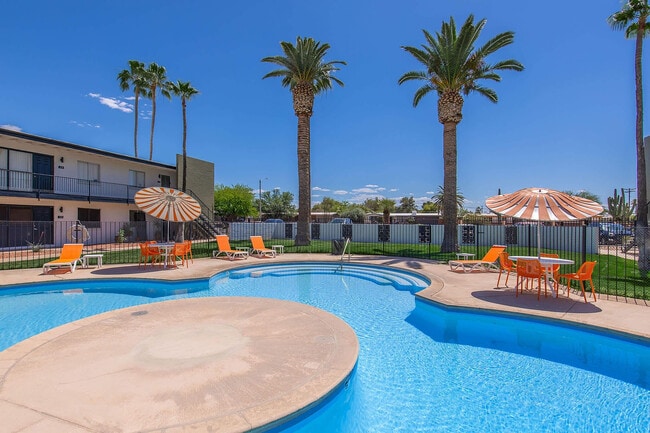 Swimming pool / courtyard - Palms on 2nd