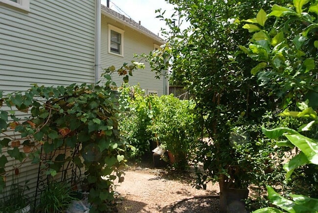 Building Photo - 514 E 15th St