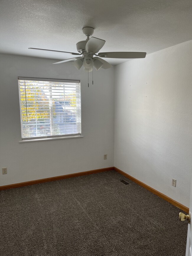 Building Photo - 313 Ash Ct