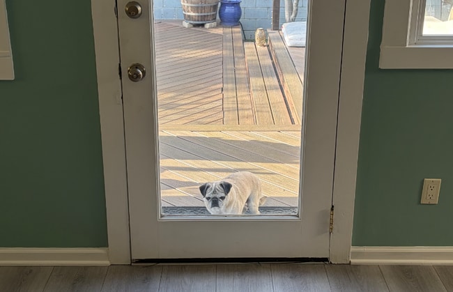 Photo - 536 Arlington St Apartment