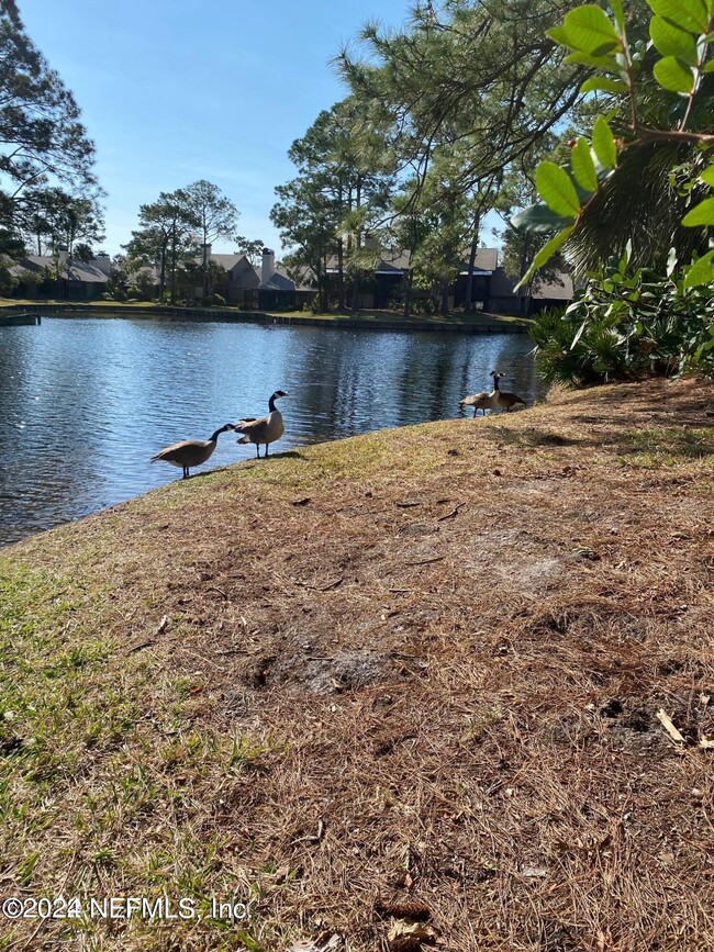 Foto del edificio - 109 Cranes Lake Dr