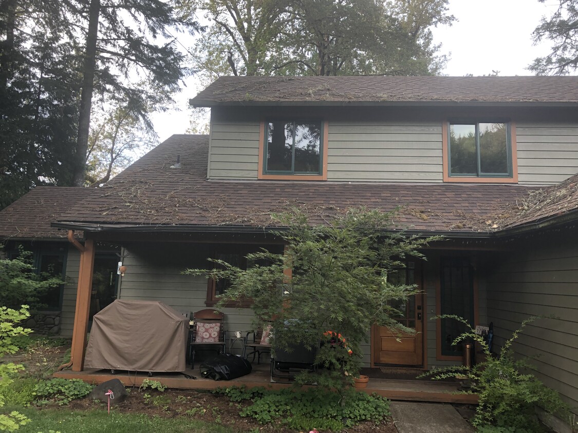 43081 Deerhorn Rd, Springfield, OR 97478 House Rental in Springfield