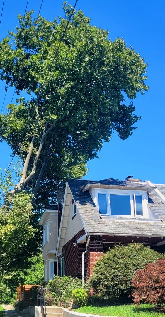 Foto del edificio - Newly Renovated Mt. Airy Corner Home — Hig...