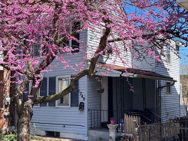 Building Photo - Ohio Ave, Trenton, NJ well-maintained 3-bedroom, 1-bath home