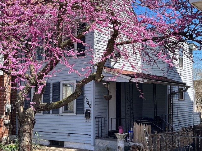 Foto del edificio - Ohio Ave, Trenton, NJ well-maintained 3-bedroom, 1-bath home