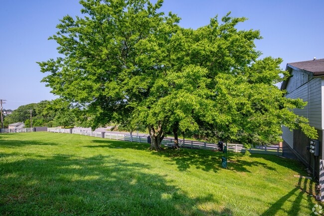 Community Grounds - Amalie Apartment Homes