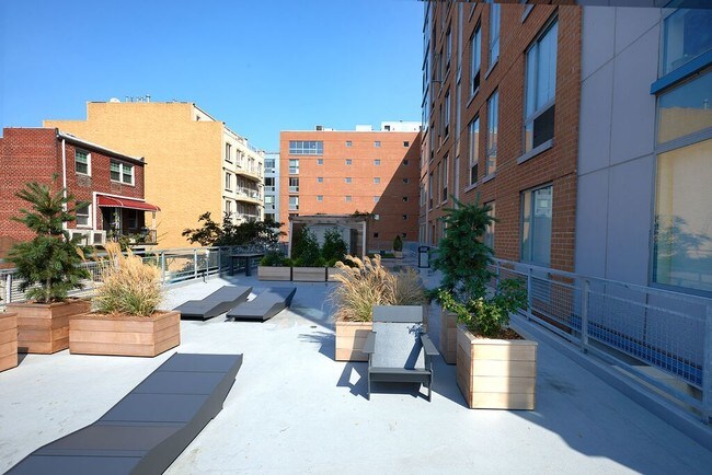 1125 Banner Avenue Apartments Brooklyn Ny Apartments Com