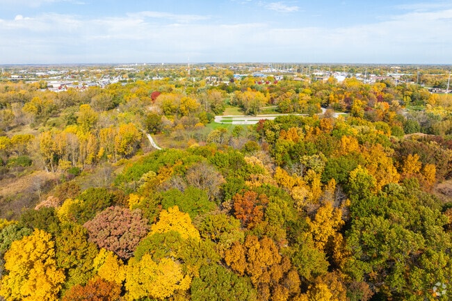 The Greenbelt Forest Preserve shows wonderful color in the fall.