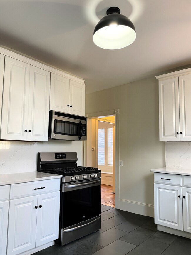 Newly Renovated Kitchen - 228 Doyle Ave