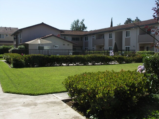 Courtyard open space w/pool - 305 Easy St