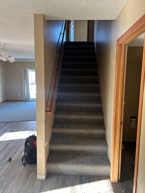 2503 arriba - Goettens Grove Apartments