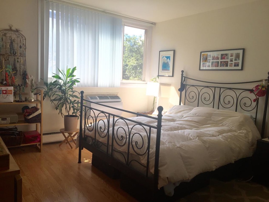 Large bedroom - 516 W Briar Pl