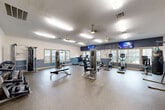 Located at 10770 Barely Lane in Houston, TX, this dedicated fitness center offers a generously sized, single-floor workout space designed to support a wide range of exercise routines. The interior features a two-tone color scheme with crisp white upper walls and a cool slate-blue wainscoting, giving the space a clean, professional atmosphere. Durable speckled rubber flooring covers the entire area, providing both safety and comfort underfoot.

The gym is well-lit with a combination of recessed fluorescent panel lighting and ceiling fans, ensuring consistent airflow and visibility throughout. Multiple windows line the walls, inviting abundant natural light and offering views of the surrounding outdoor grounds, including a glimpse of a pool area from the cardio section.

Equipment is thoughtfully organized throughout the space. The cardio zone features multiple treadmills, elliptical trainers, and a stationary bike, each positioned to face the windows or mounted flat-screen TVs displaying live programming. The strength training area includes cable machines, a multi-function weight station, adjustable benches, a dumbbell rack, and a punch bag stand. A collection of stability balls and medicine balls rounds out the functional fitness options. French doors provide access between sections, enhancing the open, airy flow of the facility.