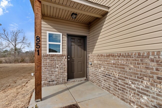 Building Photo - Brand New Home Just Minutes from the U of A!