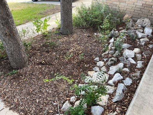 Photo - Rivermist Subdivision 3/2/2 Plus Study/Flexroom! House