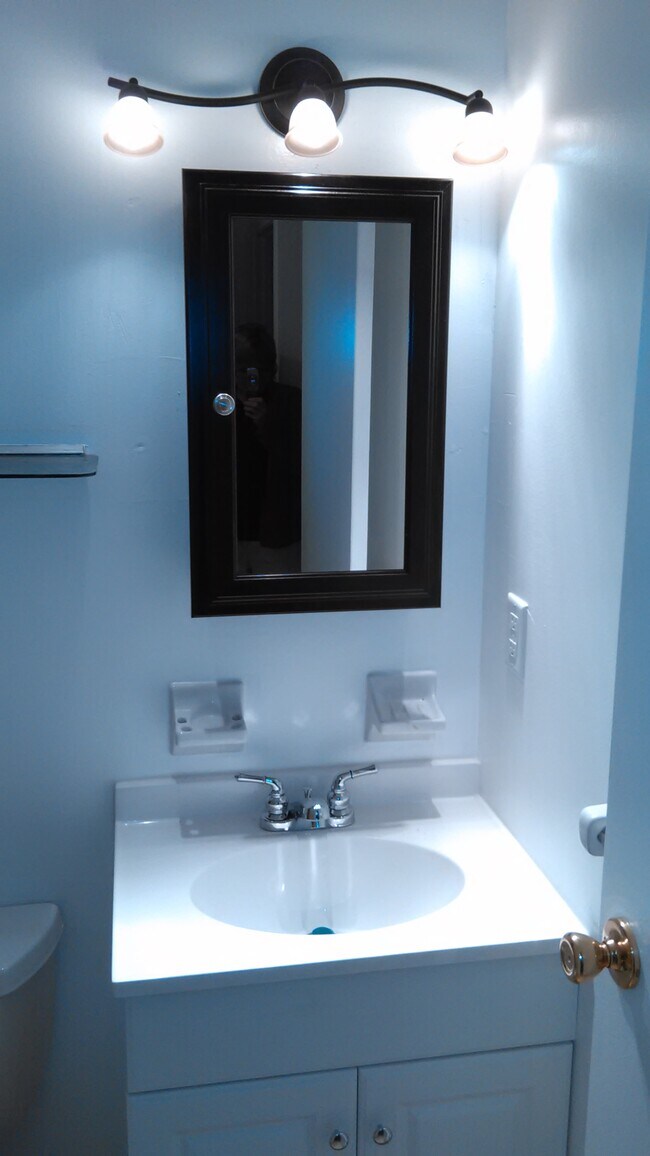 49 Swan Trl Unit 49, Fairport, NY 14450 Condo for Rent in Fairport