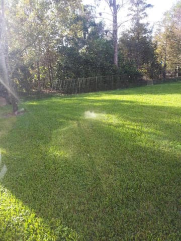Building Photo - 5014 Forest Dale Dr