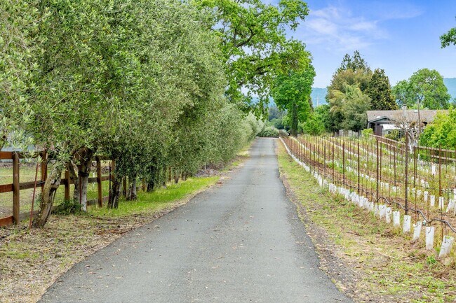 Building Photo - 2 bdrm 2 bath ADU w/ Vineyard views