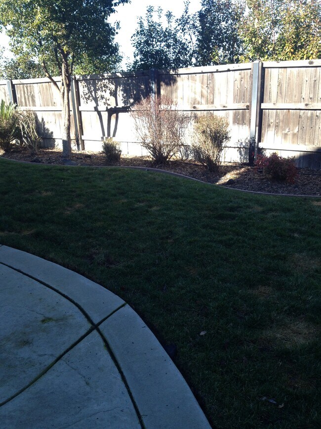 Patio - 400 Rick Heinrich Cir