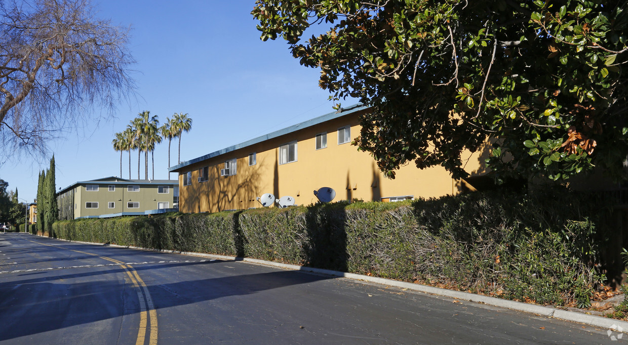 Primary Photo - Palms at the Pruneyard