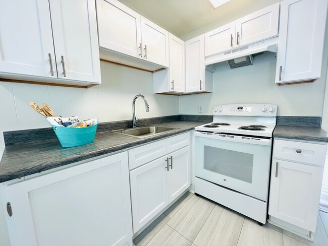 Ample Cabinet and Counter Space - Shamrock Gardens Apartments