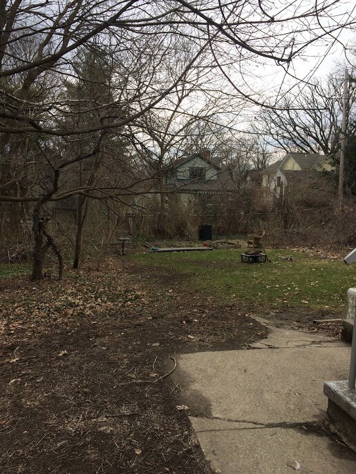 Backyard - 515 6th St